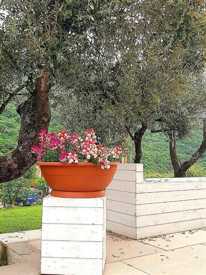 B&B Villa Giulia Capaccio Eksteriør billede