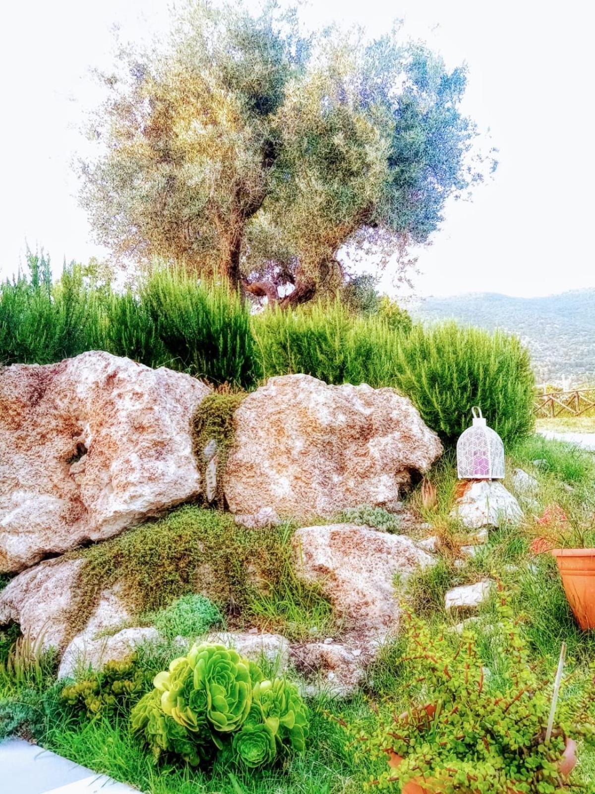 B&B Villa Giulia Capaccio Eksteriør billede