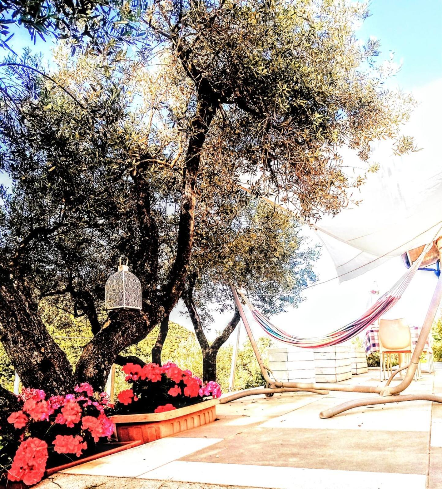 B&B Villa Giulia Capaccio Eksteriør billede